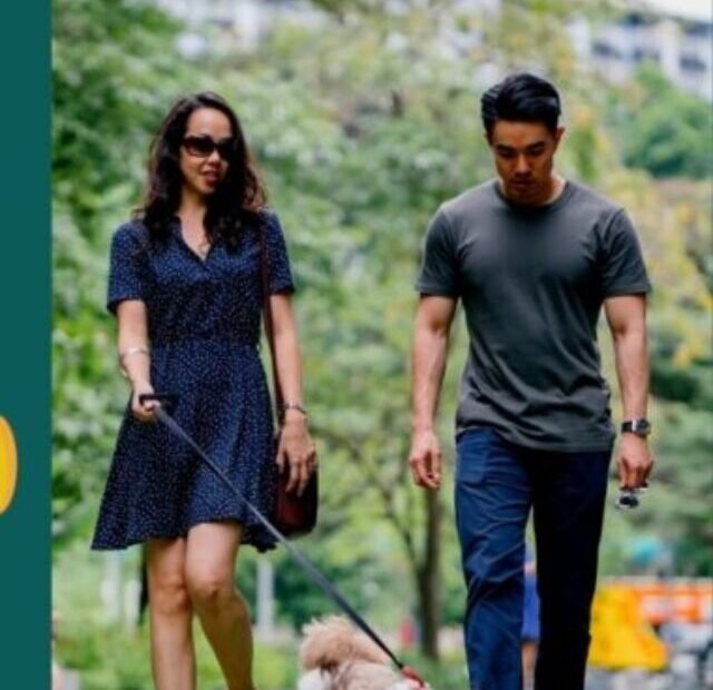 pet black friday deals, black friday dog deals, black friday deals pet, Best Early Black Friday Deals on Pet Products, amazon black friday best deals, Best Black Friday Amazon pet deals 2022