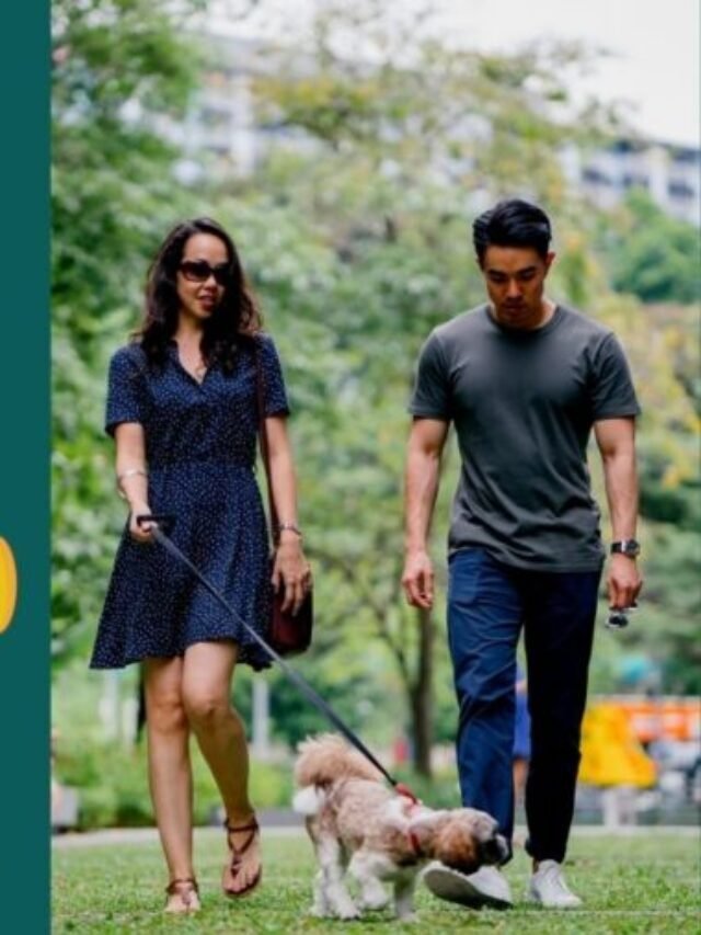 Best Black Friday Pet Deals 2022