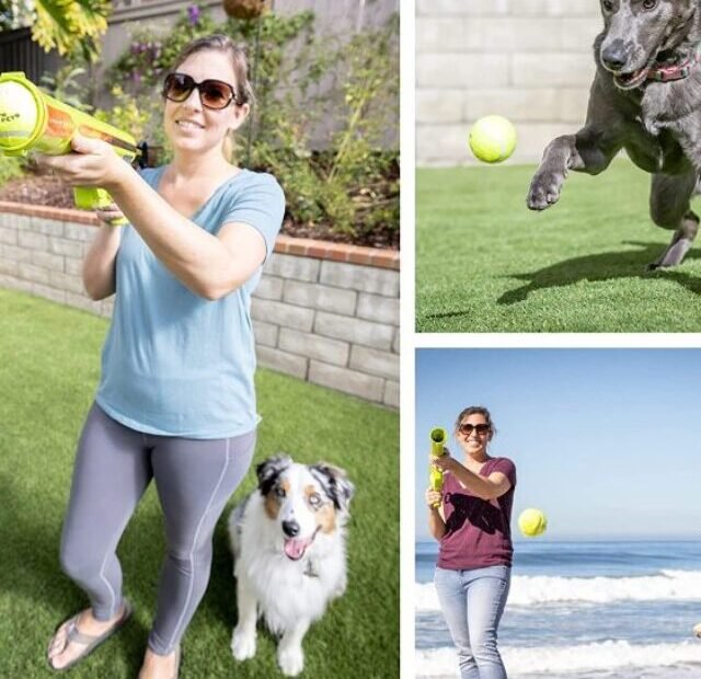 5 Best Black Friday Deals on Dog Ball launcher 2022, Black Friday Deals for Automatic Dog Ball Launchers, Automatic Ball Launchers For Dogs Black Friday Deals, Shop Online Automatic Ball Launchers For Dogs