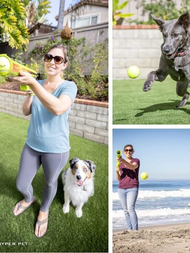 5 Best Black Friday Deals on Dog Ball launcher 2022